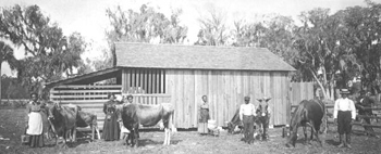 Daytona Normal and Industrial School students at their barn (ca. 1912)