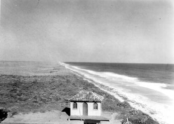 Looking north from the casino: Canova Beach, Brevard County, Florida (1929)