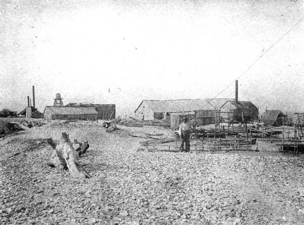 Oyster packing houses and frames for drying fishnets:  Apalachicola, Florida (1895)