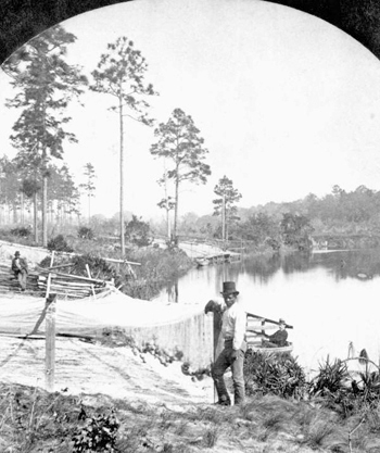 Fisherman's seines on the St. Johns River (187-)