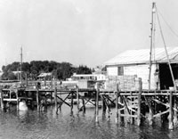 The Cedar Key Fish House and Fishbonz Then