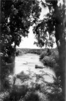 View of the river near Rainbow Springs