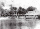 View across the spring : Silver Springs, Florida