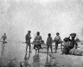 African Americans gathering oysters - Apalachicola Bay.