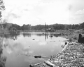 Land clearing on the Oklawaha - Eureka, Florida