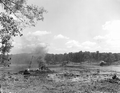 Land clearing on the Oklawaha - Eureka, Florida