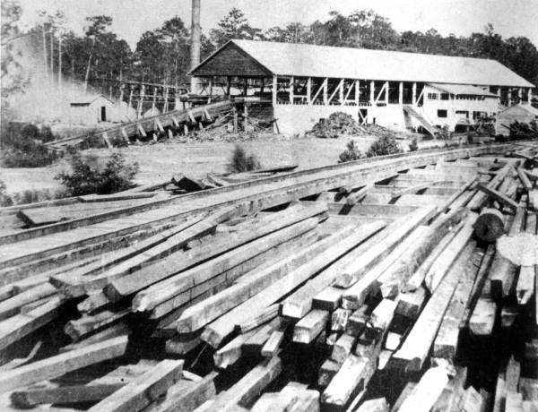 Drew Lumber Company sawmill on the Suwannee River at Ellaville (ca. 1875).