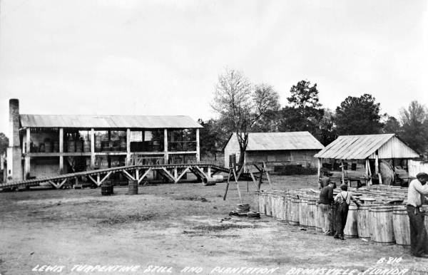 The Lewis Plantation turpentine still near Brooksville (circa 1930s).