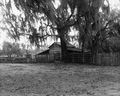 Barn at Salt Springs - Salt Springs, Florida .