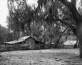 Barn at Salt Springs - Salt Springs, Florida .