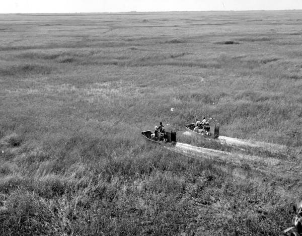 Exploring the Everglades in style on airboats.