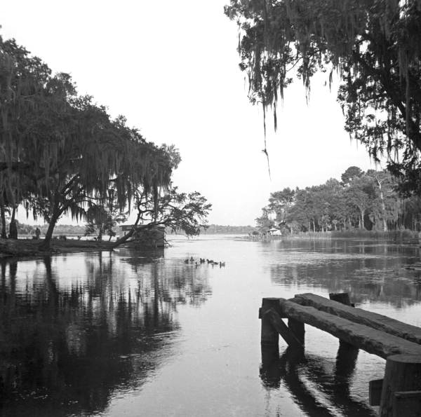 View of salt Springs in Marion County, Florida (1941)