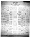 Map of lots in the city of Tallahassee.