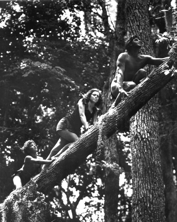 Tarzan, Jane, and Boy make their way up an oak log during filming at Wakulla Springs (1941).