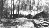 West side view of mess hall during construction by the CCC at the Oleno forestry training camp (Oleno State Park) - Columbia County, Florida.