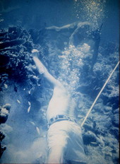 Art working edge of ballast pile of what is believed to be the Genovesa shipwreck