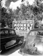 Entrance to Monkey Jungle - Miami, Florida