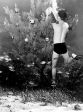 Bud Bassette decorating underwater Christmas tree..