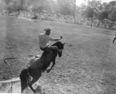 Cowboy on bucking horse - Bonifay, Florida