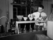 A research chemist working at the U.S. Naval Stores Experimental Station - Olustee, Florida.