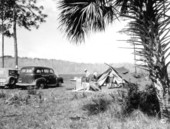 Campers in Corkscrew Swamp - Collier County, Florida