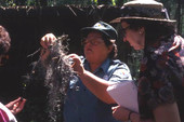 Florida Park Service Environmental Protection employee showing Spanish Moss to visitors during tour at the Hernando de Soto State Archaeological Site - Tallahassee, Florida..