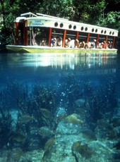 Visitors aboard the "Chief Coahajo" glass-bottom tour boat at the Silver Springs attraction in Ocala, Florida.