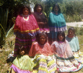 Group portrait of Billie family members.