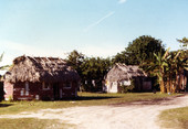 Homes in the Susie Billie village in Lee County.