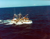 The "Americana" packed with Cuban refugees during the Mariel Boatlift - Key West, Florida.