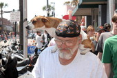 Unidentified man with his dog at 2006 Bike Week - Daytona Beach, Florida.