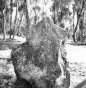 Limestone stele (Stele #1) at Crystal River State Park - Crystal River, Florida