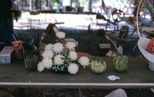 Fruit and vegetable carved items by Pam Maneeratana on display at the 1988 Florida Folk Festival - White Springs, Florida