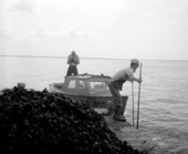 Man "tonging" for oysters from barge.