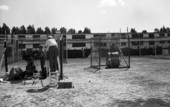 Scene from the Brooklyn Dodgers batting practice in Vero Beach, Florida.