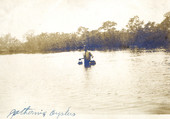 Koreshan gathering oysters in Estero Bay.