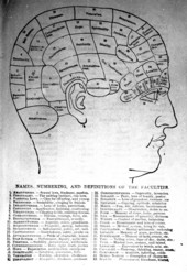 Diagram illustrating phrenological chart with names, numbering, and definitions of the faculties.