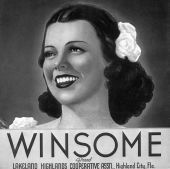 Winsome Brand citrus label - Highland City, Florida