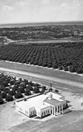 Aerial view of gift shop and citrus groves from atop of the Citrus Tower - Clermont, Florida