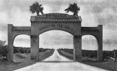 Archway and young groves - Howey-in-the-Hills, Florida