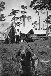 Dog at surveyors' camp