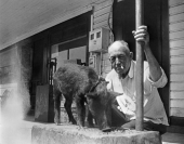 George Holton with Billy Hartfield's pet razor back pig - Panacea, Florida.