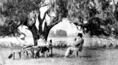 Col. Griscom and Audrey Griscom at lunch on the lawn beside Lake Iamonia