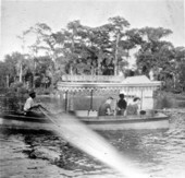 Tour by boat - Silver Springs, Florida