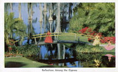 Reflections among the cypress - Winter Haven, Florida