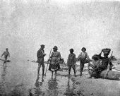 African Americans gathering oysters - Apalachicola Bay.