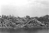 Forest debris from the construction of the Cross-Florida Barge Canal