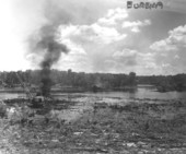 Land clearing and controlled fires - Eureka, Florida