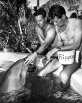 Filmmaker Ricou Browning (left) and animal trainer Ric O'Feldman with Flipper the dolphin