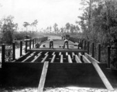 Bridge construction at Highlands Hammock State Park - Highlands County, Florida